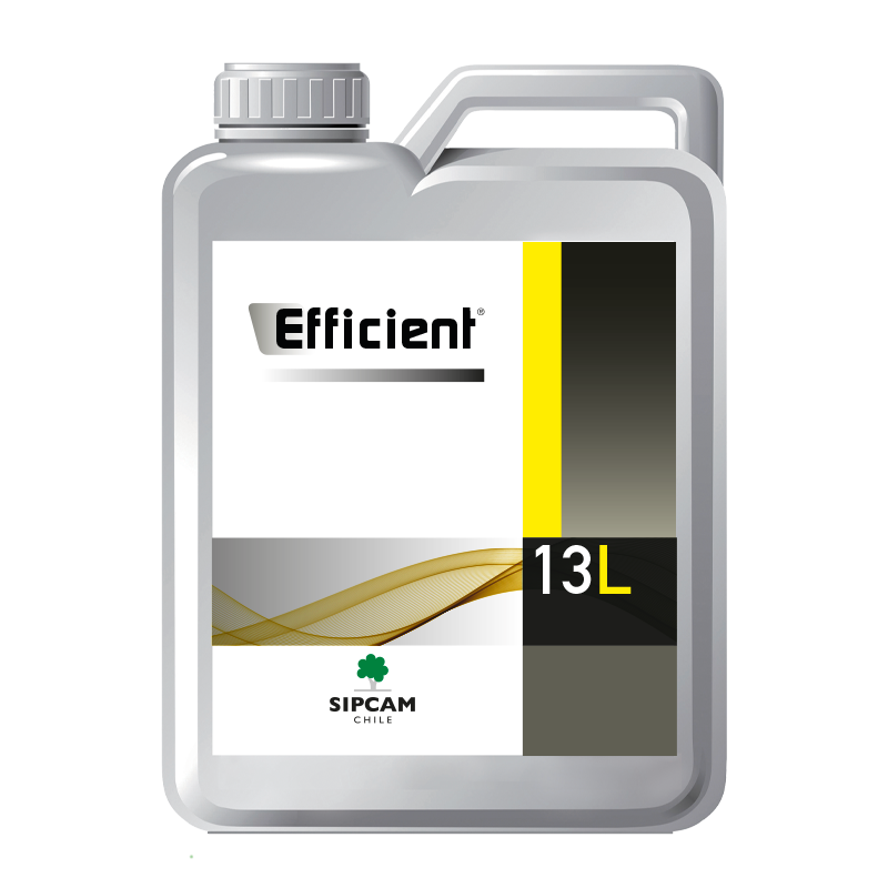 EFFICIENT- Sipcam Chile 